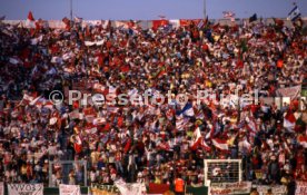 25.05.88 PSV Eindhoven - Benfica Lissabon