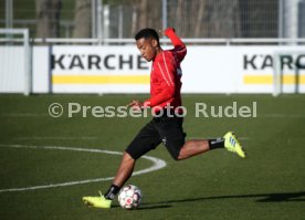 VfB Stuttgart Training