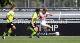 24.08.24 U19 VfB Stuttgart - U19 Stuttgarter Kickers