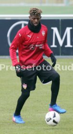 VfB Stuttgart Training
