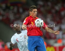 FIFA WM 2006