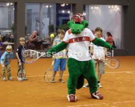 Porsche Tennis Grand Prix 2013