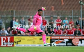 Tim Wiese (SSV Dillingen)
