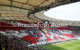 VfB Stuttgart - SG Dynamo Dresden