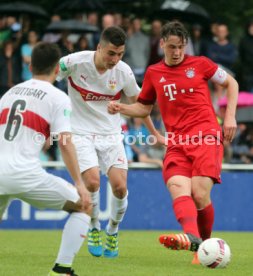 U 17 VfB Stuttgart - U17 FC Bayern M&uuml;nchen