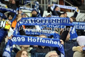 23.02.25 TSG 1899 Hoffenheim - VfB Stuttgart