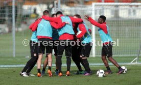 VfB Stuttgart Training