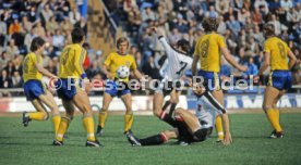 FIFA WM 1978