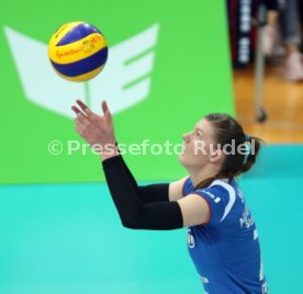 Allianz MTV Stuttgart - Dresdner SC