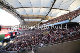 VfB Stuttgart Mitgliederversammlung Ausgliederung