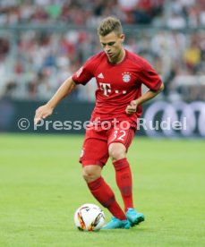 Audi Cup 2015