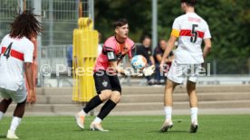 03.09.22 U19 VfB Stuttgart - U19 SV Darmstadt 98