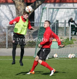 VfB Stuttgart Training