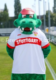 13.08.24 VfB Stuttgart Fototermin Saison 2024/2025