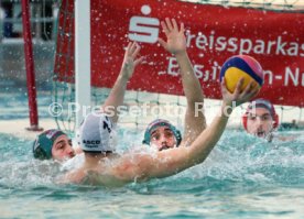 SSV Esslingen - ASC Duisburg