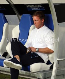 TSG 1899 Hoffenheim - FC Liverpool