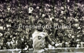 DFB-Pokal Finale 1987 Hamburger SV - Stuttgarter Kickers