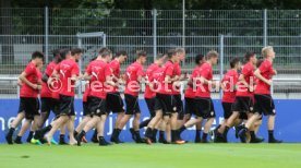 VfB Stuttgart Training