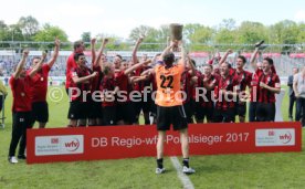 wfv-Verbandspokal Finale 2015/2016 Spfr Dorfmerkingen - Stuttgarter Kickers