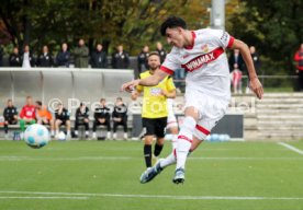 10.10.24 VfB Stuttgart - SSV Ulm 1846