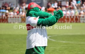 09.07.23 Hohenlohe Auswahl - VfB Stuttgart