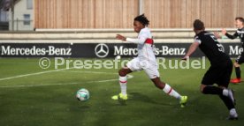 24.01.21 VfB Stuttgart II - SSV Ulm 1846