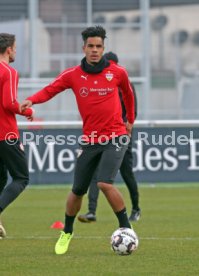 VfB Stuttgart Training