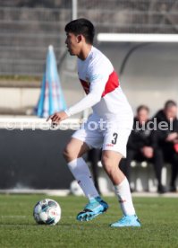 VfB Stuttgart - SG Dynamo Dresden