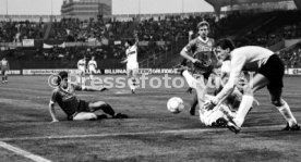 VfB Stuttgart - 1. FC K&ouml;ln