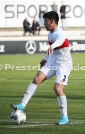 VfB Stuttgart - SG Dynamo Dresden