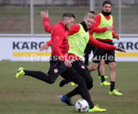 VfB Stuttgart Training