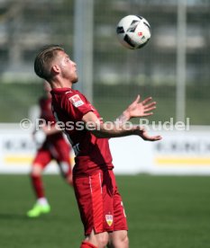 VfB Stuttgart - TSV 1860 M&uuml;nchen II