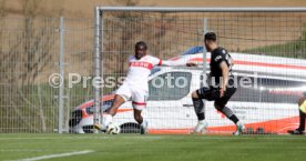 19.04.25 VfB Stuttgart II - SC Verl