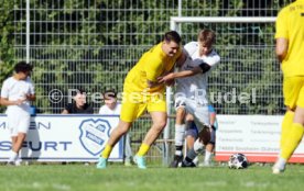 23.08.26 TSV Ph&ouml;nix Steinsfurt - SV Tiefenbach