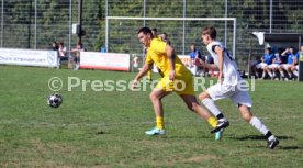 23.08.26 TSV Ph&ouml;nix Steinsfurt - SV Tiefenbach