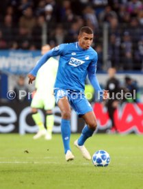 TSG 1899 Hoffenheim - Olympique Lyon