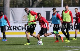 VfB Stuttgart Training