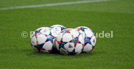 FC Bayern M&uuml;nchen
