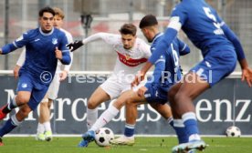 25.11.23 U19 VfB Stuttgart - U19 TSG 1899 Hoffenheim