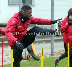 VfB Stuttgart Training