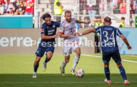 20.09.25 TSG 1899 Hoffenheim - FC Bayern M&uuml;nchen