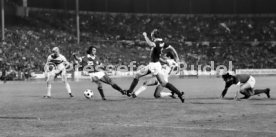 VfB Stuttgart - Cosmos New York