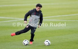 VfB Stuttgart Training