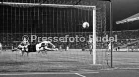 VfB Stuttgart - 1. FC K&ouml;ln