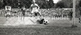 SV Darmstadt 98 - VfB Stuttgart