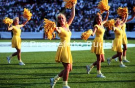 26.06.92 D&auml;nemark - Deutschland