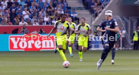 18.04.26 TSG 1899 Hoffenheim - Borussia Dortmund