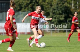 15.09.24 Frauen VfB Stuttgart - 1. FCC Hof