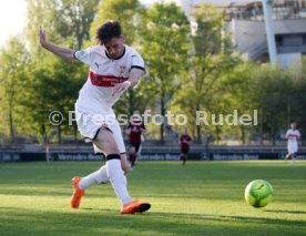 U 17 VfB Stuttgart - U17 1. FC N&uuml;rnberg