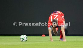 20.02.25 1. FC Heidenheim - FC Kopenhagen
